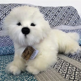 Bichon Frise - 38cm lying